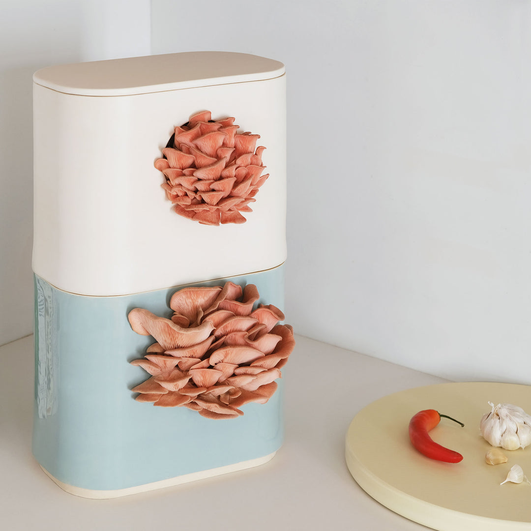 GUS Modular Ceramic Mushroom Planter