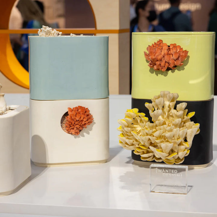 GUS Ceramic Mushroom Planter